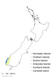 Pteris epaleata distribution map based on databased records at AK, CHR, OTA & WELT.
 Image: K.Boardman © Landcare Research 2020 CC BY 4.0